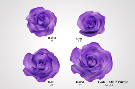 R-88Pu (3)